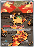 Numel 223/217