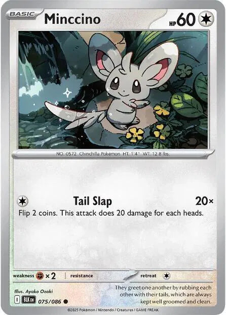 Minccino Black Bolt Common • 075/086