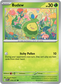 Budew Ascended Heroes Common • 016/217