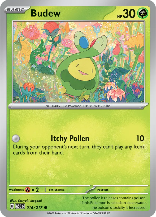 Budew Ascended Heroes Common • 016/217