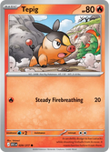 Tepig Ascended Heroes Common • 029/217