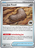 Antique Jaw Fossil Perfect Order Common • 068/088