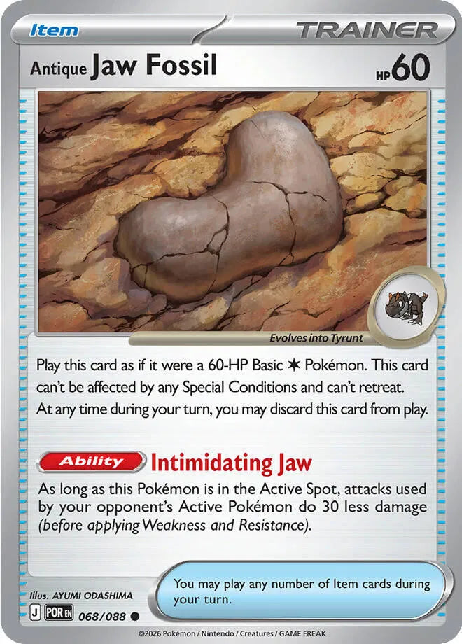 Antique Jaw Fossil Perfect Order Common • 068/088