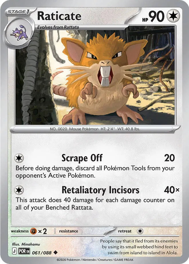 Raticate Perfect Order Uncommon • 061/088